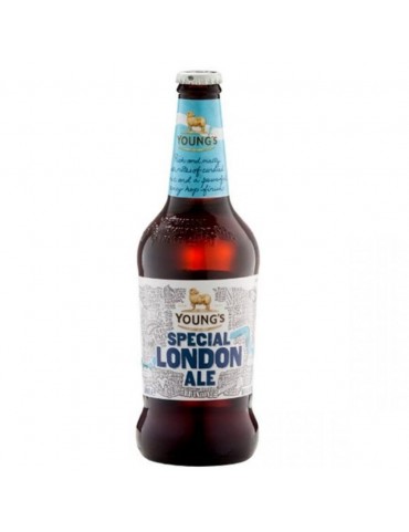 WELLS SPECIAL LONDON ALE 50CL